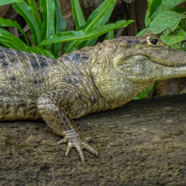 20171115-085201-DSC-HX400V-_-170.04-mm-_-1-250-Sek.-bei-f-63-_-ISO-400