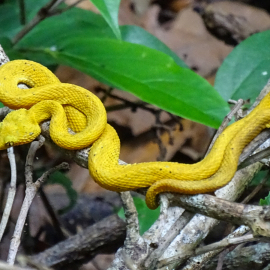 20171115-144658-DSC-HX400V-_-93.75-mm-_-1-40-Sek.-bei-f-56-_-ISO-800