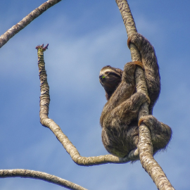 20171117-112445-DSC-HX400V-_-176.97-mm-_-1-400-Sek.-bei-f-63-_-ISO-80