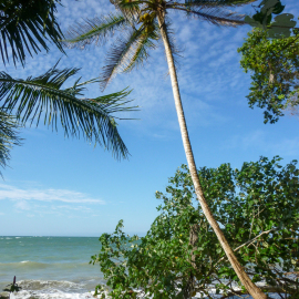 20171117-142259-DMC-ZX1-_-4.5-mm-_-1-1000-Sek.-bei-f-33-_-ISO-100