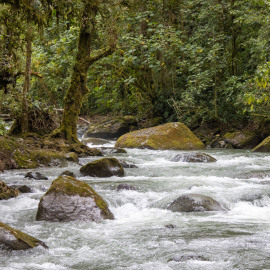 20201114-140758-Canon-EOS-M6-Mark-II-_-55-mm-_-1-100-Sek.-bei-f-50-_-ISO-800