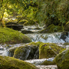 20201115-095148-Canon-EOS-M6-Mark-II-_-106-mm-_-1-60-Sek.-bei-f-56-_-ISO-800