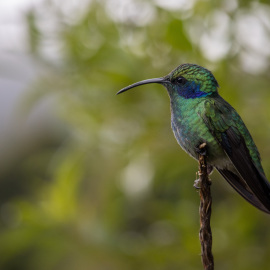 20201115-132550-Canon-EOS-M6-Mark-II-_-153-mm-_-1-320-Sek.-bei-f-56-_-ISO-400