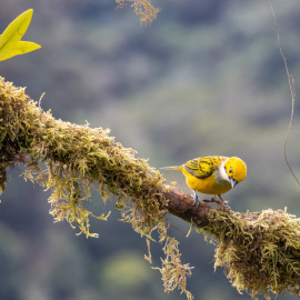 20201115-140101-Canon-EOS-M6-Mark-II-_-200-mm-_-1-200-Sek.-bei-f-90-_-ISO-800