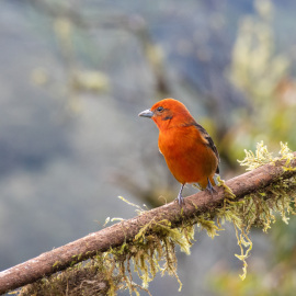 20201115-140136-Canon-EOS-M6-Mark-II-_-200-mm-_-1-250-Sek.-bei-f-90-_-ISO-800