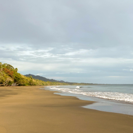 20201117-062230-iPhone-11-_-4.25-mm-_-1-720-Sek.-bei-f-18-_-ISO-32