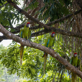 20201117-151523-Canon-EOS-M6-Mark-II-_-81-mm-_-1-160-Sek.-bei-f-50-_-ISO-800