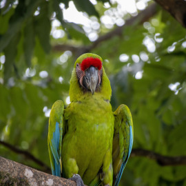 20201117-151719-Canon-EOS-M6-Mark-II-_-200-mm-_-1-50-Sek.-bei-f-63-_-ISO-800