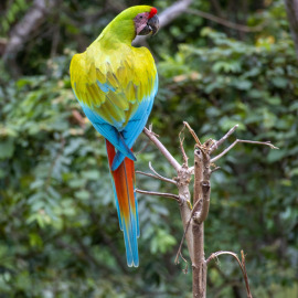 20201117-153031-Canon-EOS-M6-Mark-II-_-200-mm-_-1-50-Sek.-bei-f-63-_-ISO-800