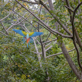 20201117-153052-Canon-EOS-M6-Mark-II-_-55-mm-_-1-100-Sek.-bei-f-50-_-ISO-640