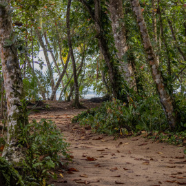 20201119-081421-Canon-EOS-M6-Mark-II-_-55-mm-_-1-100-Sek.-bei-f-56-_-ISO-200