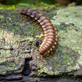 20201119-090344-Canon-EOS-M6-Mark-II-_-70-mm-_-1-30-Sek.-bei-f-50-_-ISO-800