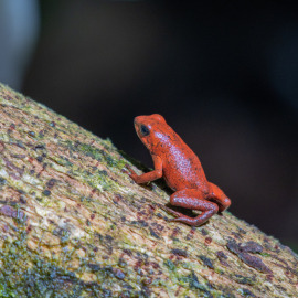 20201119-091255-Canon-EOS-M6-Mark-II-_-200-mm-_-1-400-Sek.-bei-f-63-_-ISO-400