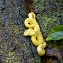 20201119-102239-Canon-EOS-M6-Mark-II-_-70-mm-_-1-20-Sek.-bei-f-50-_-ISO-800