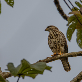 20201123-063715-Canon-EOS-M6-Mark-II-_-483-mm-_-1-400-Sek.-bei-f-63-_-ISO-160