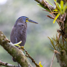 20201123-064435-Canon-EOS-M6-Mark-II-_-483-mm-_-1-50-Sek.-bei-f-63-_-ISO-160