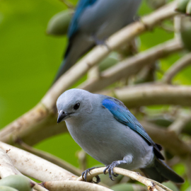 20201123-071622-Canon-EOS-M6-Mark-II-_-329-mm-_-1-40-Sek.-bei-f-63-_-ISO-160