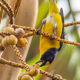 20201123-071834-Canon-EOS-M6-Mark-II-_-309-mm-_-1-100-Sek.-bei-f-63-_-ISO-160