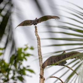 20201123-075317-Canon-EOS-M6-Mark-II-_-200-mm-_-1-1250-Sek.-bei-f-63-_-ISO-160