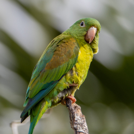 20201123-080238-Canon-EOS-M6-Mark-II-_-552-mm-_-1-250-Sek.-bei-f-63-_-ISO-160