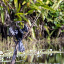 20201123-084218-Canon-EOS-M6-Mark-II-_-600-mm-_-1-200-Sek.-bei-f-63-_-ISO-160