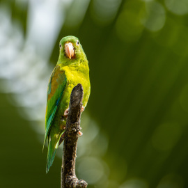 20201123-085154-Canon-EOS-M6-Mark-II-_-600-mm-_-1-160-Sek.-bei-f-63-_-ISO-160