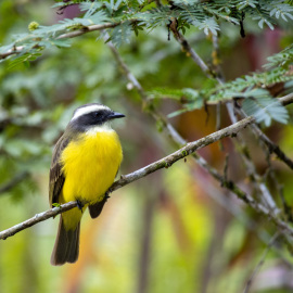 20201123-121940-Canon-EOS-M6-Mark-II-_-200-mm-_-1-80-Sek.-bei-f-63-_-ISO-160