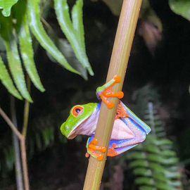 20201123-182159-iPhone-11-_-4.25-mm-_-1-25-Sek.-bei-f-18-_-ISO-500