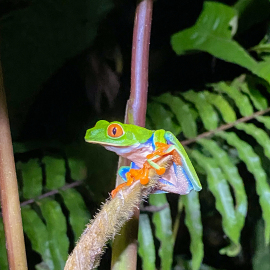 20201123-182433-iPhone-11-_-4.25-mm-_-1-30-Sek.-bei-f-18-_-ISO-800