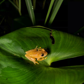 20201123-184909-iPhone-8-_-3.99-mm-_-1-90-Sek.-bei-f-18-_-ISO-25