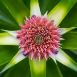 20201124-074248-Canon-EOS-M6-Mark-II-_-15-mm-_-1-60-Sek.-bei-f-35-_-ISO-200