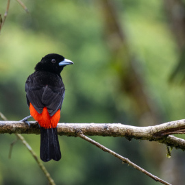 20201124-093619-Canon-EOS-M6-Mark-II-_-200-mm-_-1-25-Sek.-bei-f-63-_-ISO-800