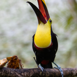 20201124-110918-Canon-EOS-M6-Mark-II-_-168-mm-_-1-400-Sek.-bei-f-50-_-ISO-800