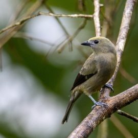 20201124-112539-Canon-EOS-M6-Mark-II-_-500-mm-_-1-100-Sek.-bei-f-63-_-ISO-800