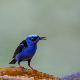 20201124-115732-Canon-EOS-M6-Mark-II-_-500-mm-_-1-320-Sek.-bei-f-63-_-ISO-800