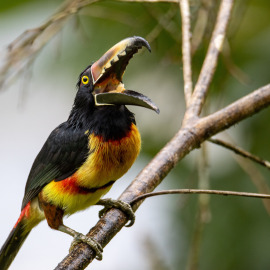 20201124-123307-Canon-EOS-M6-Mark-II-_-500-mm-_-1-250-Sek.-bei-f-63-_-ISO-800