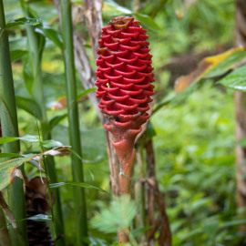 20201124-162810-Canon-EOS-M6-Mark-II-_-55-mm-_-1-25-Sek.-bei-f-45-_-ISO-800