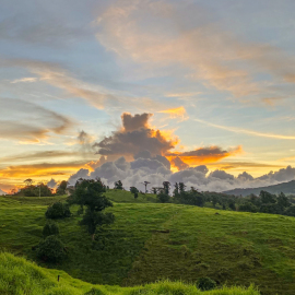 20201126-171344-iPhone-11-_-4.25-mm-_-1-490-Sek.-bei-f-18-_-ISO-32