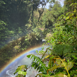 20201127-110004-iPhone-11-_-4.25-mm-_-1-500-Sek.-bei-f-18-_-ISO-32