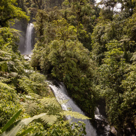 20201127-113514-Canon-EOS-M6-Mark-II-_-16-mm-_-1-500-Sek.-bei-f-50-_-ISO-100