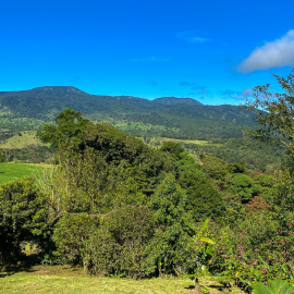 20201128-084510-iPhone-11-_-4.25-mm-_-1-2500-Sek.-bei-f-18-_-ISO-32