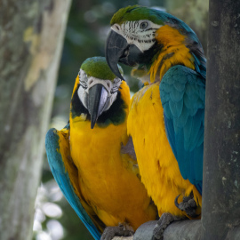 20201128-112051-Canon-EOS-M6-Mark-II-_-200-mm-_-1-20-Sek.-bei-f-63-_-ISO-800