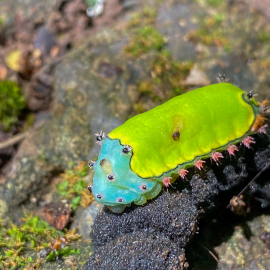 20201128-112853-iPhone-11-_-4.25-mm-_-1-120-Sek.-bei-f-18-_-ISO-80