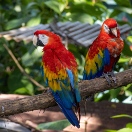 20201128-124132-Canon-EOS-M6-Mark-II-_-200-mm-_-1-125-Sek.-bei-f-63-_-ISO-800