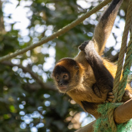 20201128-124842-Canon-EOS-M6-Mark-II-_-200-mm-_-1-160-Sek.-bei-f-63-_-ISO-800