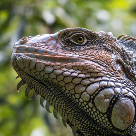 20201128-130432-Canon-EOS-M6-Mark-II-_-200-mm-_-1-250-Sek.-bei-f-63-_-ISO-800