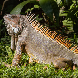 20201128-143000-Canon-EOS-M6-Mark-II-_-200-mm-_-1-400-Sek.-bei-f-63-_-ISO-200