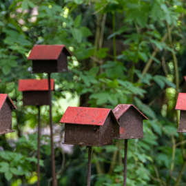 20210605-123930-Canon-EOS-R5-_-150-mm-_-1-200-Sek.-bei-f-63-_-ISO-2500