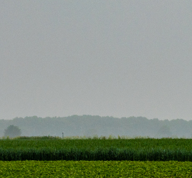 20210605-150402-Canon-EOS-R5-_-50-mm-_-1-320-Sek.-bei-f-80-_-ISO-200