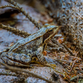 20210624-143119-Canon-EOS-R5-_-240-mm-_-1-30-Sek.-bei-f-80-_-ISO-200